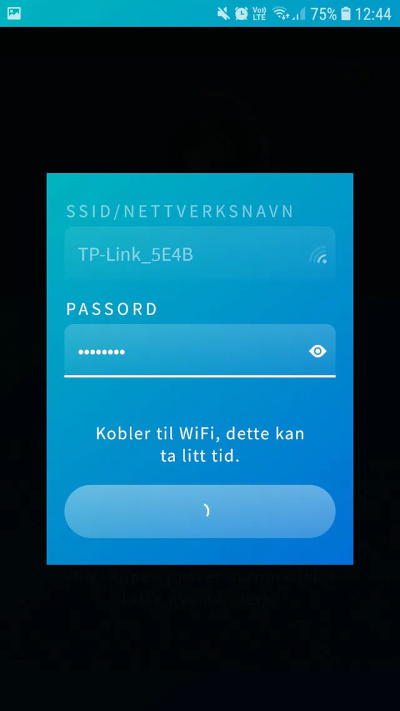 Oppsett steg 5 Dialog for verifisering